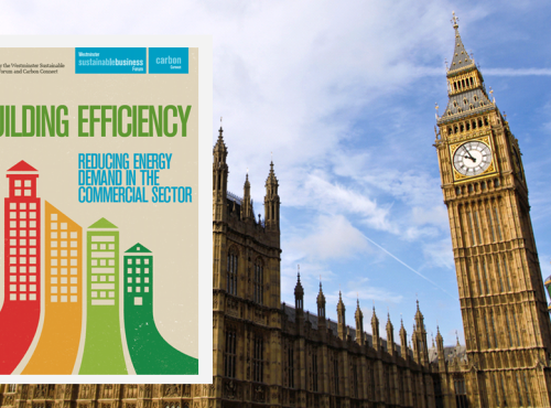 Building Efficiency Report and Palace of Westminster