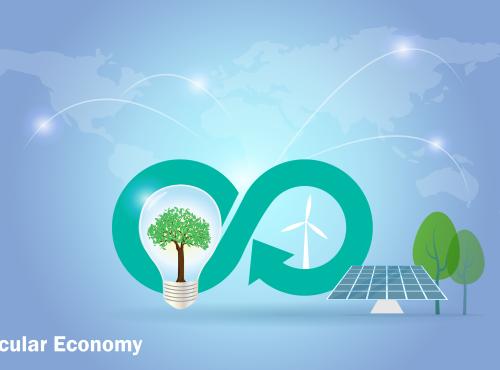 Industrial Symbiosis and Circular Economy