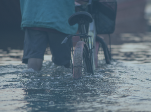 Person walking a bike through a flooded area.