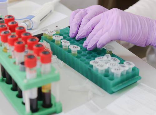 Life sciences
