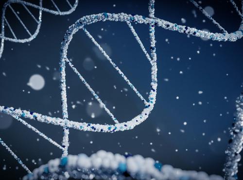 DNA picture