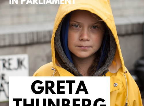Greta Thunberg with the APPG Climate Change and Policy Connect