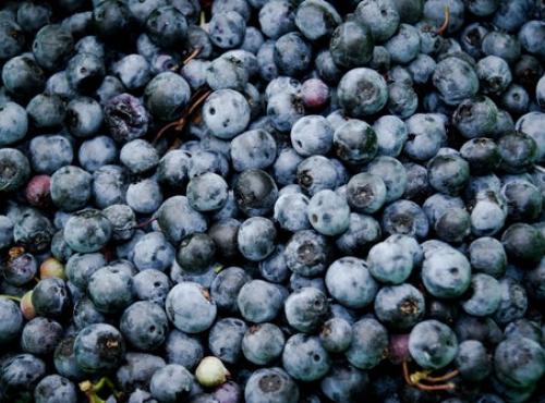 Blueberries
