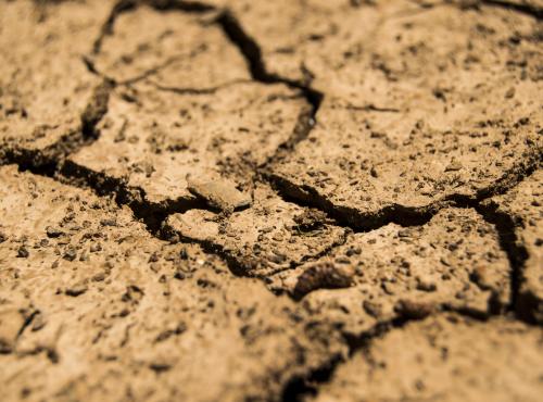 Water companies issue drought alert