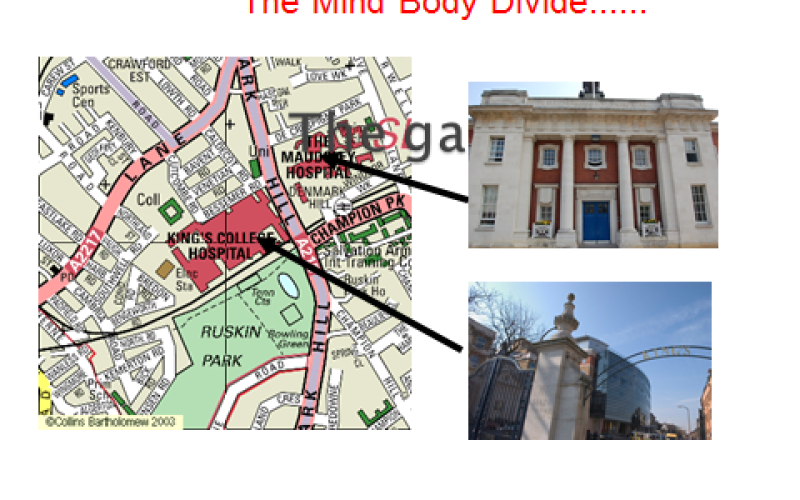 Mind body divide