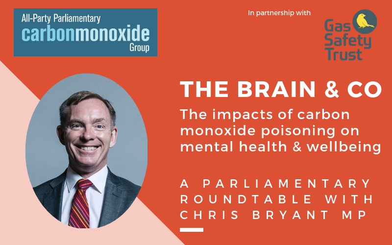 Title card: "The Brain and CO: The impacts of carbon monoxide poisoning on mental health and wellbeing"; subtitle: A Parliamentary Roundtable chaired by Chris Bryant MP; a photograph of Chris Bryant MP