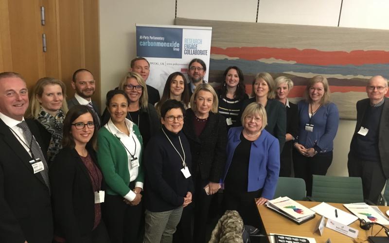 Photograph of the Brain and CO Roundtable attendees in Portcullis House