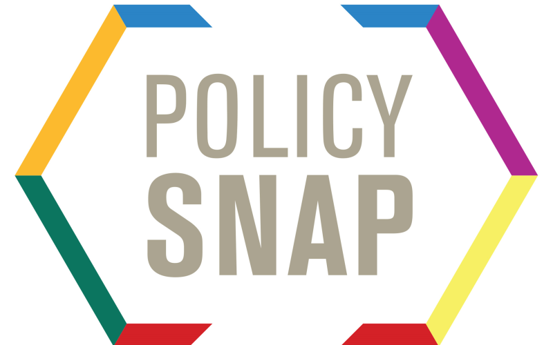 Policy Snap General Election 2017
