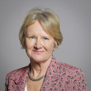 Baroness Watkins