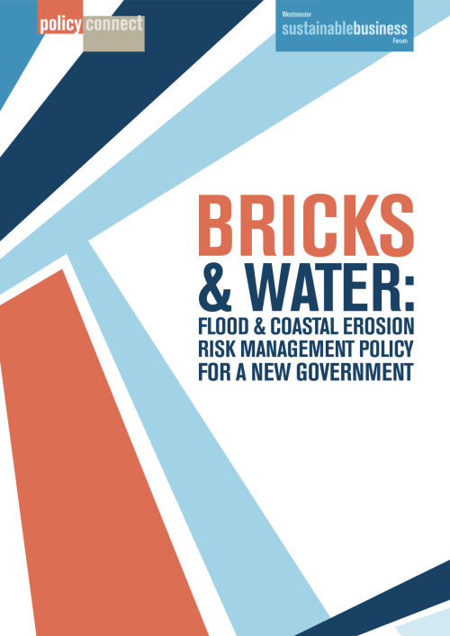 Bricks and Water Report Cover