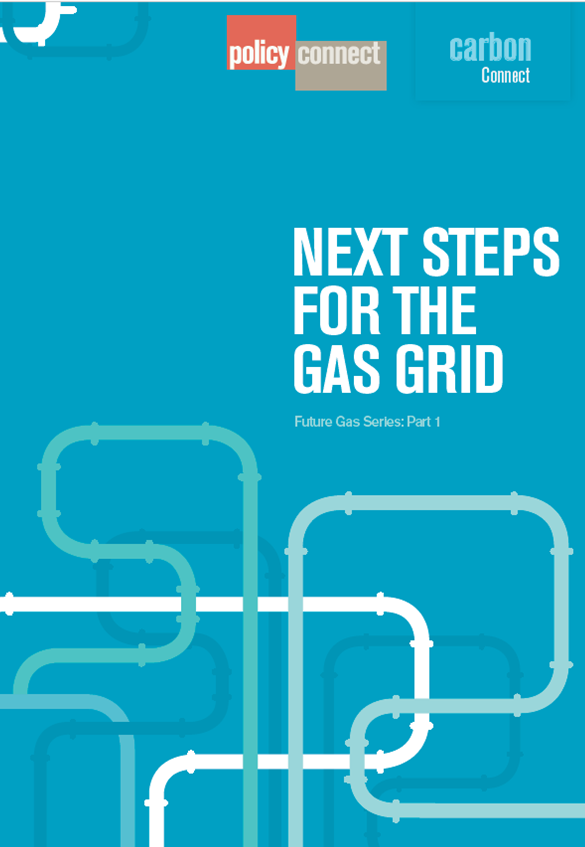 Next Steps for the Gas Grid: Future Gas Series Part 1