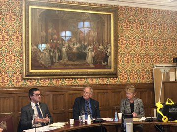 Design and the Future of Intellectual Property Rights