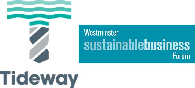 Thames Tideway Tunnel briefing