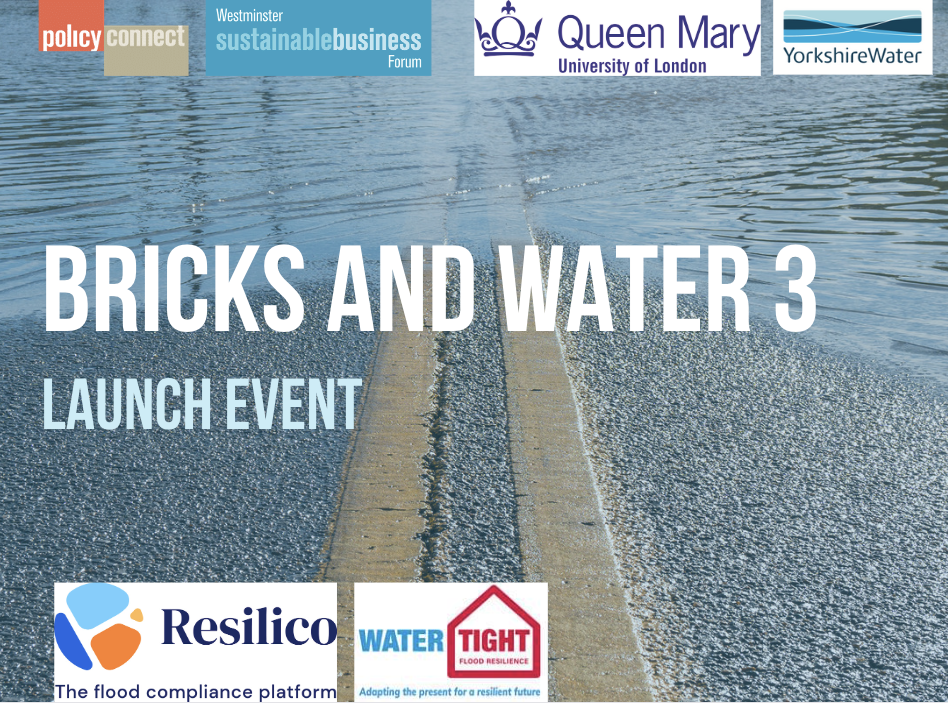 Report Launch: Bricks and Water 3