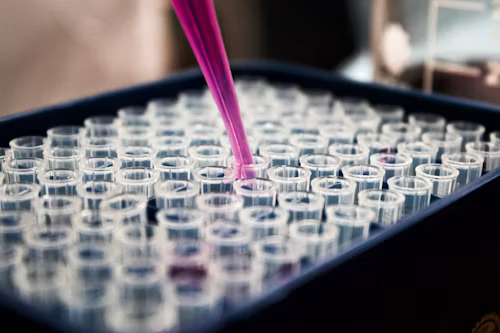 Life Sciences in the UK: From Innovation to Impact